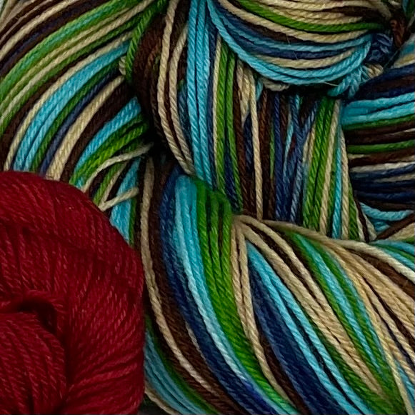 Mother Nature by Jim Warren Five Stripe Self Striping Yarn with Mini Skein