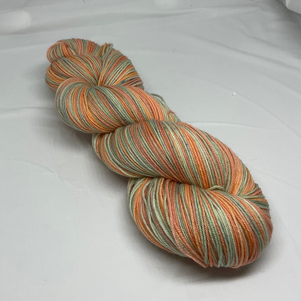 Coral  Flowers Six Stripe Self Striping Yarn