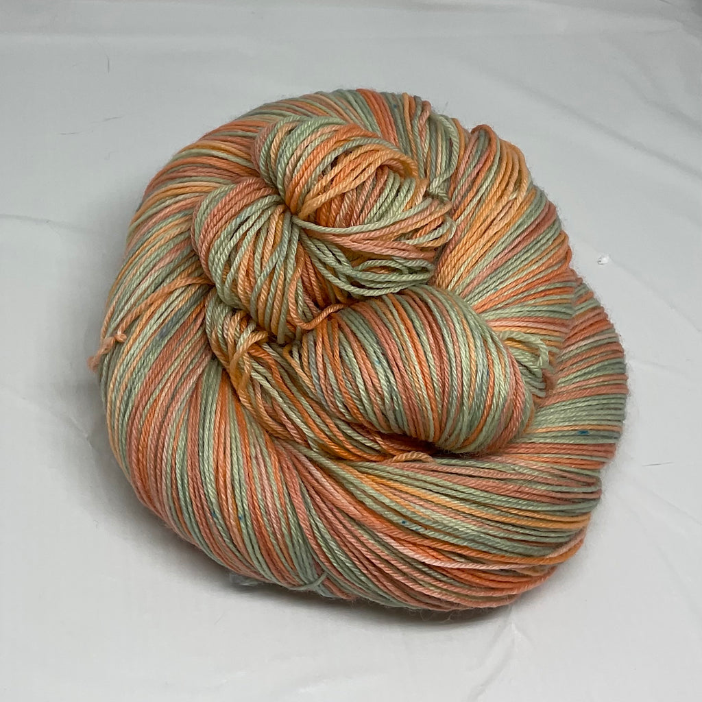 Coral  Flowers Six Stripe Self Striping Yarn