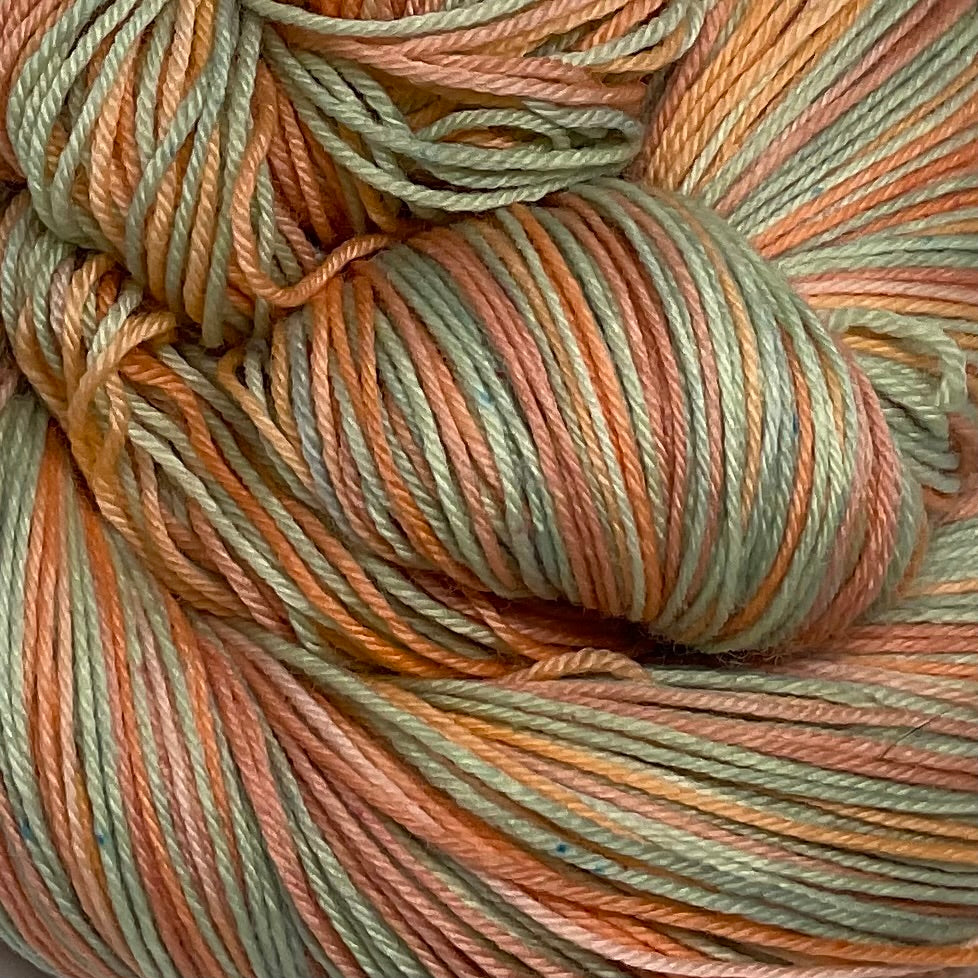 Coral  Flowers Six Stripe Self Striping Yarn