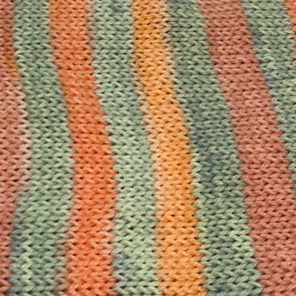 Coral  Flowers Six Stripe Self Striping Yarn