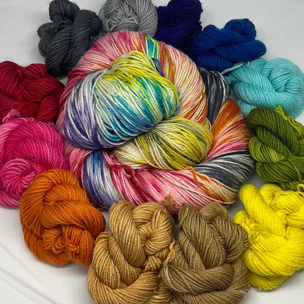 Rainbow Pantsuits Speckled  Variegated  Full Skein and Twelve Mini Skeins Yarn Set