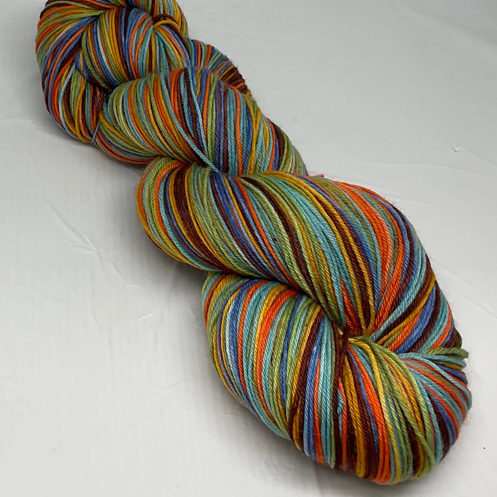 Wild & Scenic Six Stripe Self Striping Yarn