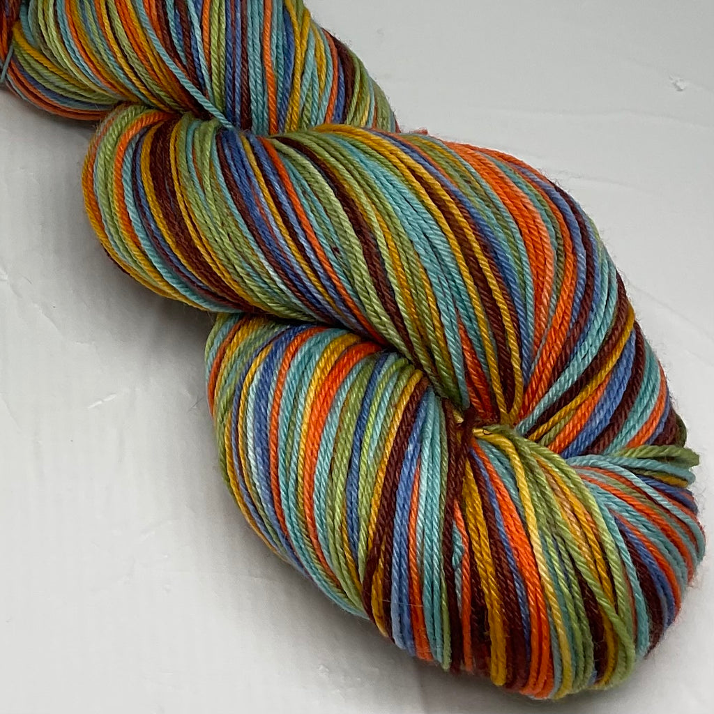 Wild & Scenic Six Stripe Self Striping Yarn