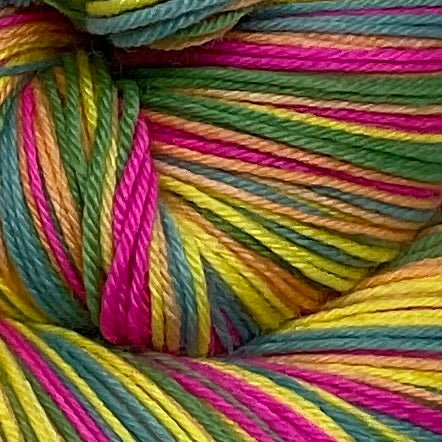 Happy Place Five Stripe Self Striping Yarn