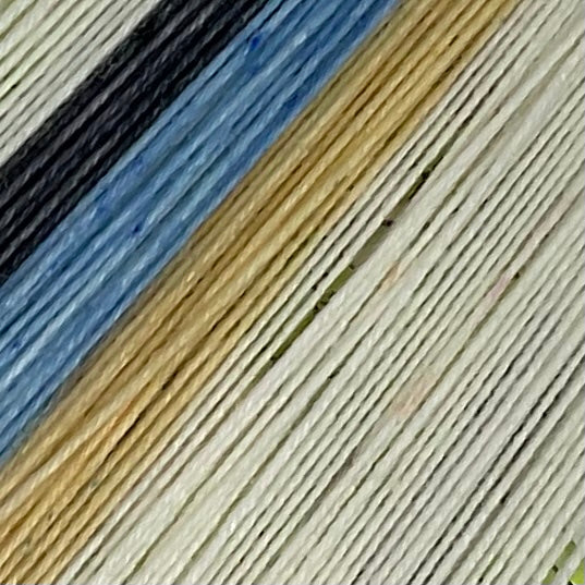 Gannet Seabird Four Stripe Self Striping Yarn