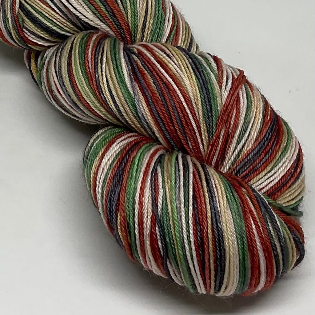 Zoom Party Five Stripe Self Striping Yarn