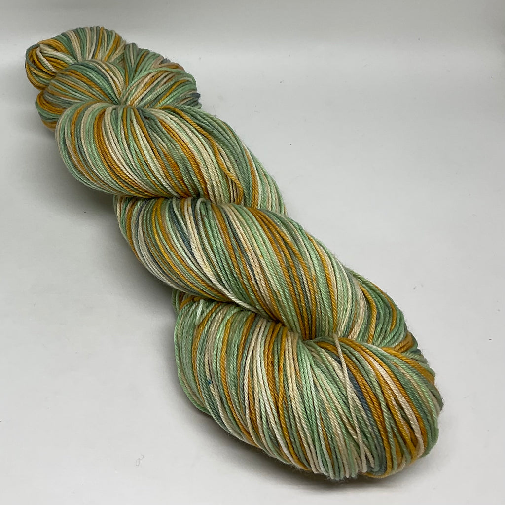 The Extremely Rare Princess Leia Toad Four  Stripe Self Striping Yarn