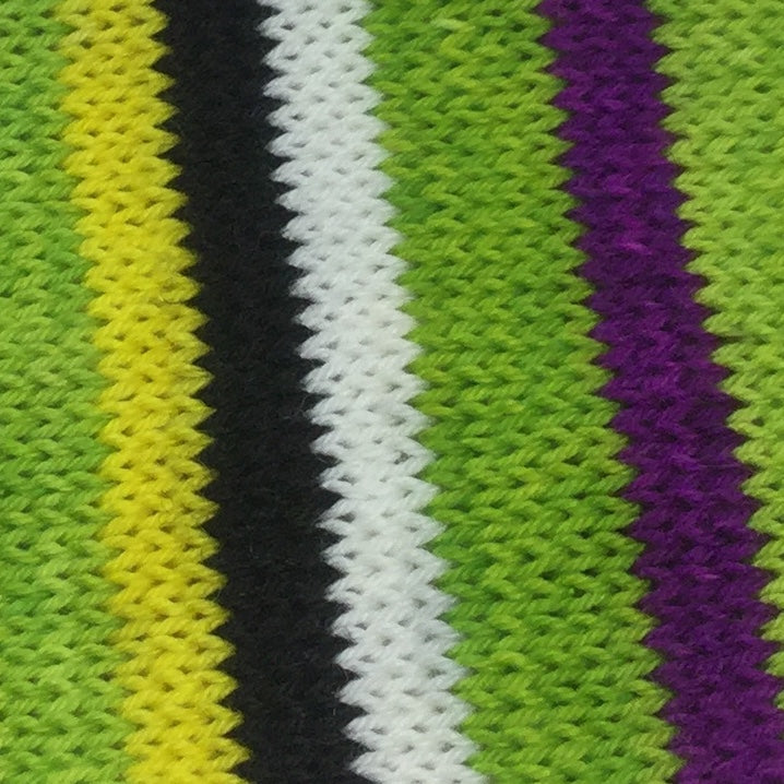 Bee Six Stripe Self Striping Yarn