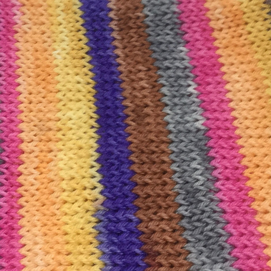 Adopt, Don't Shop Six Stripe Self Striping Yarn