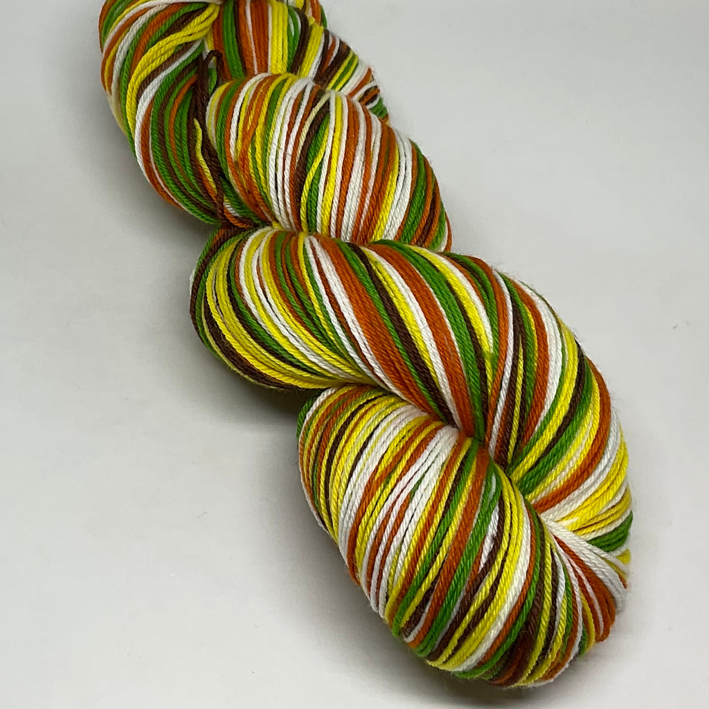 Schaffhauser Wolle Five Stripe Self Striping Yarn