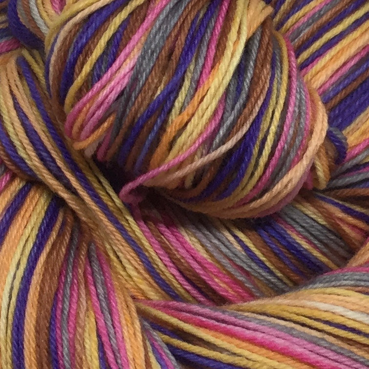 Adopt, Don't Shop Six Stripe Self Striping Yarn