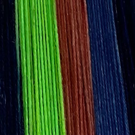 Nicobar Pigeon Four Stripe Self Striping Yarn
