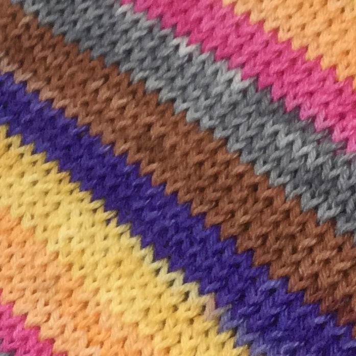 Adopt, Don't Shop Six Stripe Self Striping Yarn