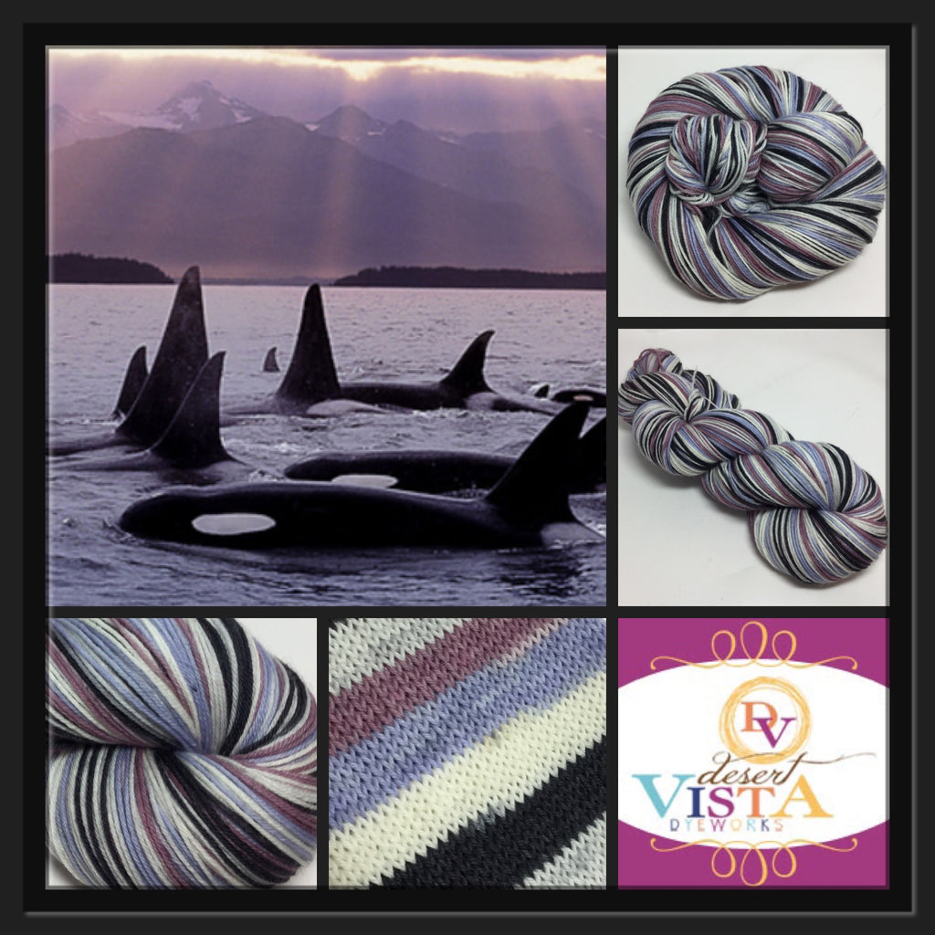 Orcas Five Stripe Self Striping Sock Yarn