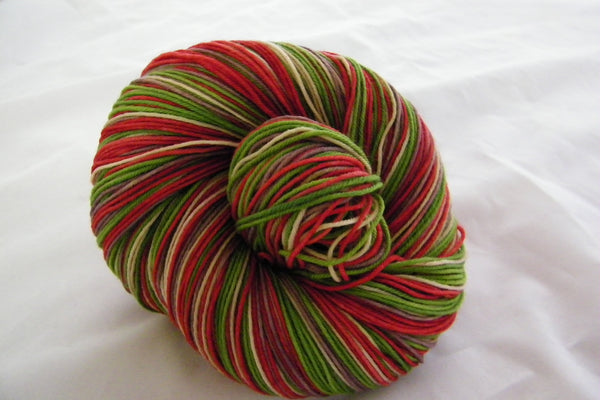 Apple Pie Four Stripe Self Striping Yarn