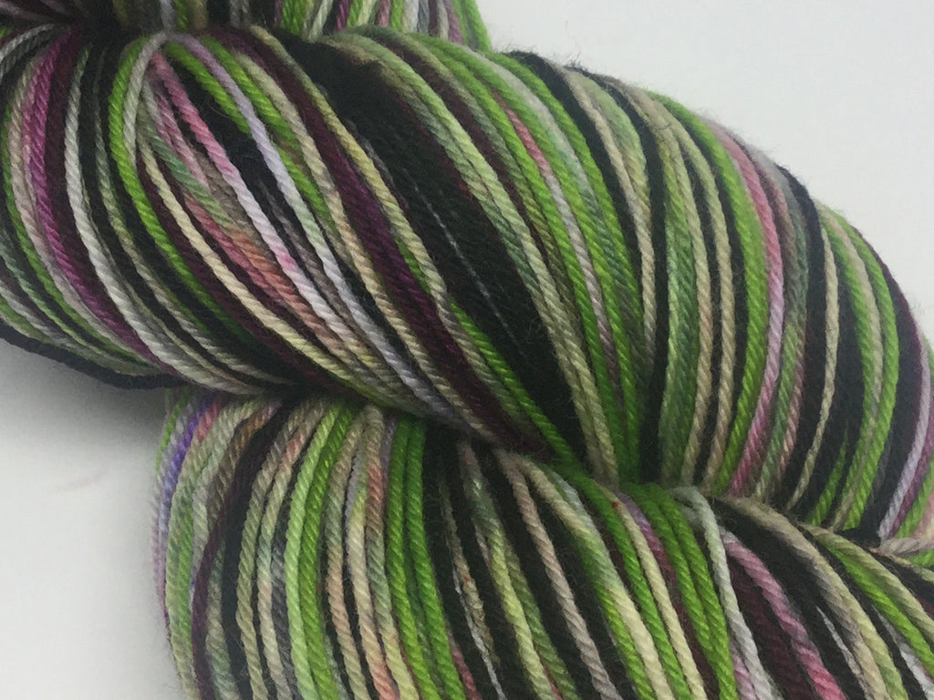 Zombody is Off to See the Wizard SixStripe Self Striping Yarn